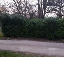 Le terrain vu de "face"