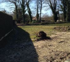 Une partie du terrain