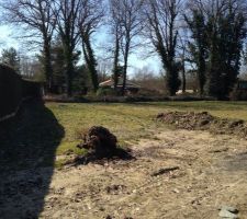 Une partie du terrain