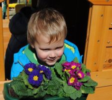 Mes loulous plantent des fleurs dans le bac de leur abri de jardin