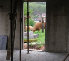 Vue de notre porte de service: sur les vaches!