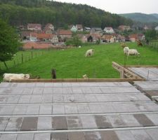 Hourdis de pos&eacute;s, avant que nous posions qql gaines &eacute;lectriques avant que la dalle soit coul&eacute;e!