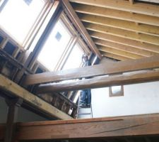 Pour se rendre un peu mieux compte de la taille des velux.