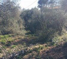 Notre terrassier a un peu de travail...avant d'installer le bassin de r&eacute;tention