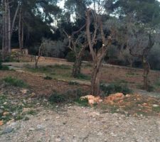 On d&eacute;couvre mieux les planches de la maison