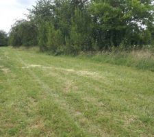 AVANT AM&Eacute;NAGEMENT DU LOTISSEMENT