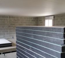 Ça y est !!! Ils ont attaqué  le placo. Les plafonds sont finis. Ils ont bien entamé les murs. Il restait en gros 1,5 jour de travail encore et devrait attaquer les cloisons pour la semaine d après.
Les choses avancent bien.
Pourvu que ça dur !!!