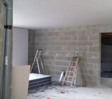 Ça y est !!! Ils ont attaqué  le placo. Les plafonds sont finis. Ils ont bien entamé les murs. Il restait en gros 1,5 jour de travail encore et devrait attaquer les cloisons pour la semaine d après.
Les choses avancent bien.
Pourvu que ça dur !!!