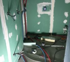 Préparation pour mur en carreau de plâtre (séparation douche / Meuble vasque)