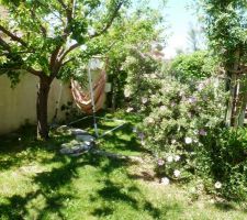 Photos de mon ancien jardin - également créé à partir de "rien" (terrain nu, que de la terre...) 
L'ancienne maison a été terminée en mars 2006 - cette photo a été prise en mai 2013 (peu avant le déménagement)
L'arbre à gauche, c'est un abricotier (planté en 2007). Le buisson avec les fleurs rose, c'est une Ciste