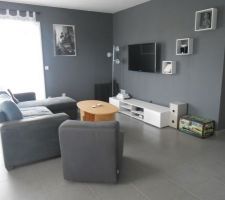 Petits changements dans le coin salon, plus de fils sous la tv et nouveau canapé.