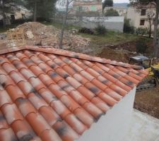 Terrassement du terrain / Remise en forme