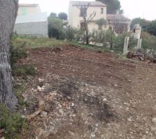 Terrassement du terrain / Remise en forme
