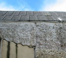 Une vue de la toiture c'est sain mais cela degage en totalit&eacute;e