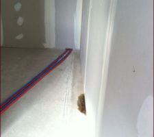 Chambre parentale dressing ( infiltration ? )