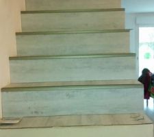 Escalier en cours d'habillage
www.otoit37.com
