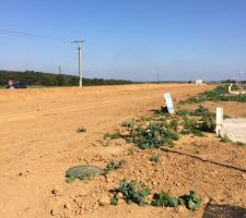 Le terrain viabilisé