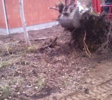 Evacuation des eaux pluviales