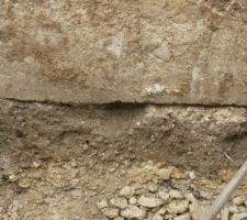On vois bien ici la limite entre le bas de la chauss&eacute;e et la terre .