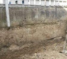 L'ensemble du mur ,partie basse a consolider ?? des avis svp