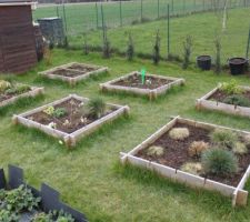 L'ancien potager, reste les herbes aromatiques et des fleurs, graminées et beaucoup de fraisiers