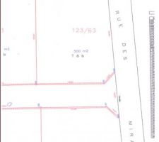 Plan du terrain avec cotation