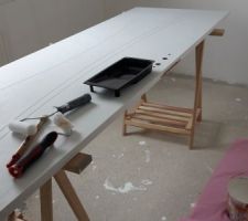 Peinture..... de la porte des toilettes et de l entourage