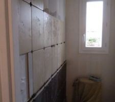 Faience wc