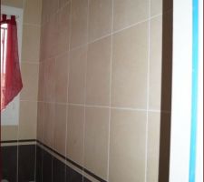 Faience wc