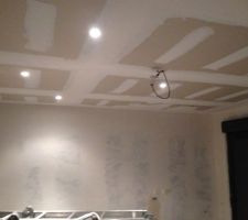 Spots halogènes a variateur dans le salon