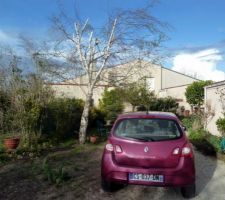 Jardin devant la maison