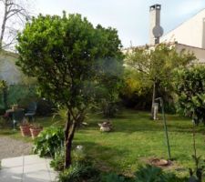 Jardin devant la maison