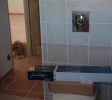 Ton classique pour les carrelages de la SDE.