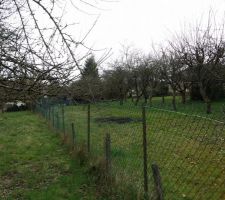 Photo vue de c&ocirc;t&eacute;.
Un peu plus de 40m de long et comme vous le voyez, pas de voisin a gauche de notre terrain.