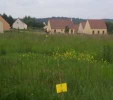 Le bornage du terrain une id&eacute;e de la profondeur mon fils est est au bout du terrain