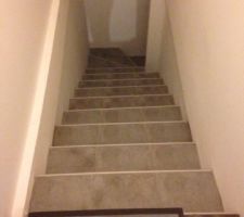 Carrelage escalier menant au sous-sol