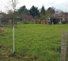 Voici la parcelle que nous avons choisi.Elle continue un peu sur la gauche de la photo.