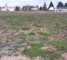 Voici comment se pr&eacute;sente le terrain