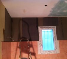 Pose panneaux Wedi pour remettre de niveaux le mur