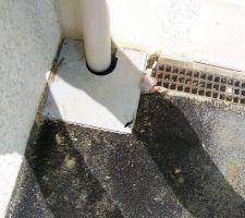 Regard de la porte du garage cassée...