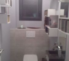 Aménagement des wc, on ne savait plus où ranger nos cd, dvd, etc ....