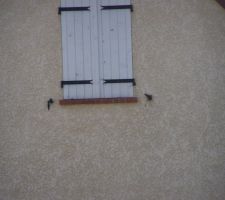 Voici la fenêtre du voisin d'en face???? avec les briquettes???