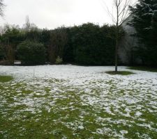 Terrain lors de l'achat