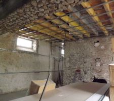Faux plafond partie Salon