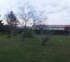 La maison sera implant&eacute;e en limite de propri&egrave;t&eacute; au fond de cette parcelle.