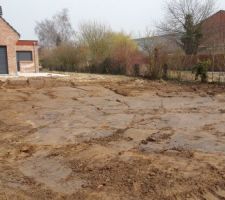 Arrière du terrain
