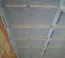 Membrane agrafée.