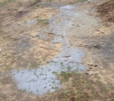 Le ciment des joints que le carreleur a jeter sur notre terrain (je vais prendre tout le b&eacute;ton du ma&ccedil;on et cr&eacute;pis en photo aussi, c'est plus un terrain c'est une d&eacute;ch&egrave;terie...