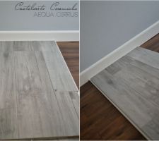 Aequa cricus carrelage effet parquet
