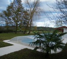 La piscine couverte avec au fond le troupeau de brebis